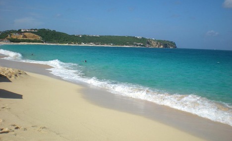 nettle bay