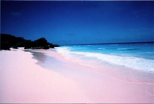 pink-sand-beach