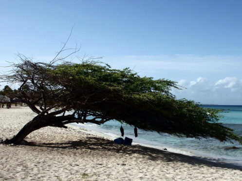 Aruba